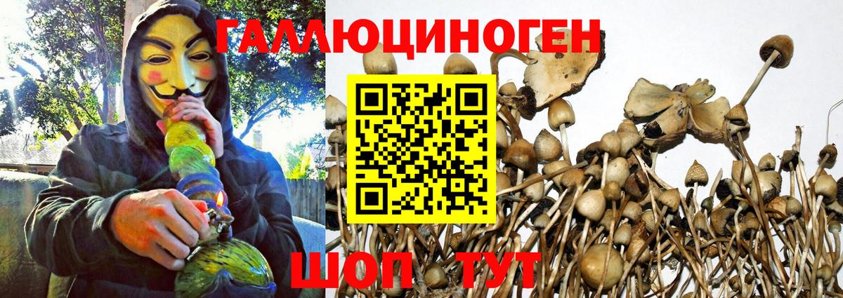 Галлюциногенные грибы GOLDEN TEACHER Щёкино